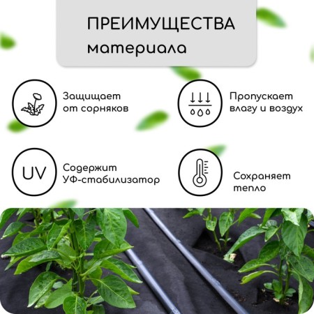 Mulching material, with perforation (4 rows), 20 × 1.6 m, density 80 g/m², spanbond with UV stabilizer, black, Greengo, economy 30%-1