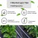 Mulching material, with perforation (4 rows), 20 × 1.6 m, density 80 g/m², spanbond with UV stabilizer, black, Greengo, economy 30%