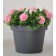 Kashpo for flowers "aura" 75x55 cm, 161 l, color anthracite
