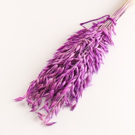 Set of dried flowers "oats", banch length 60-65 (+/- 6 cm), lilac-2