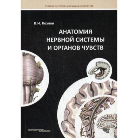 Anatomy of the nervous system and sensory organs: Textbook. Kozlov V.I.