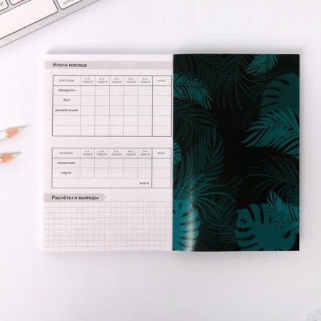 Smart notebook Cashbook A6, 68 sheets I NEED My Money-8