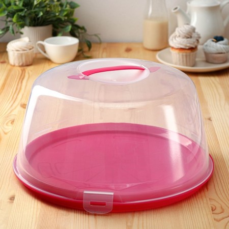 Cake with a lid, double -sided, d = 33 cm, color mix-4