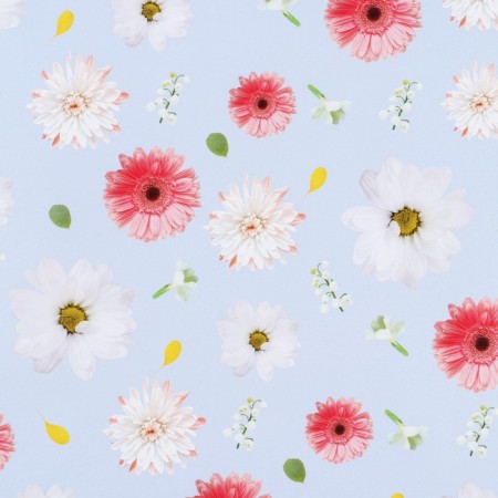 Glossy packaging paper "Chamomile", 70 x 100 cm-1