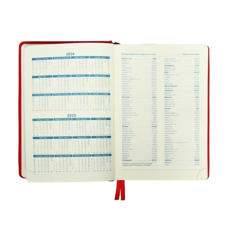 Dated diary 2024, A5, 168 sheets in the ruler, the leatherette "Nebraska", gold cut, red-4