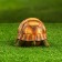 Garden figure "Turtle with a sheet" 15x10x14cm