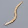 Wooden toy "Snake" 30x1.6x1.6 cm