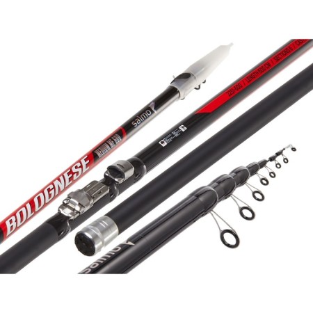 Salmo Diamond Bolognes Medium MF, test 5-20 g, length 6 m.-1