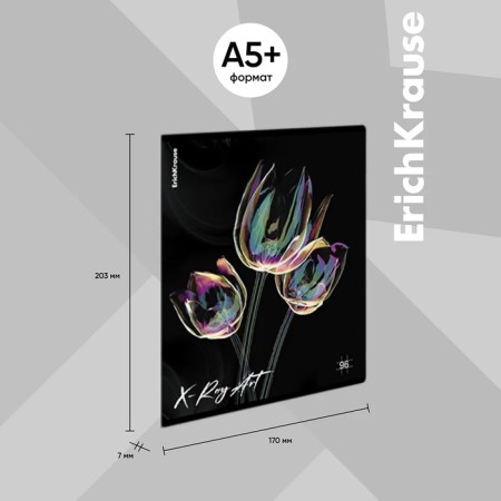 A notebook of 96 sheets in the Erichkrause "X-Ray Art", holographic lamination, an offset block 100%, mix-3