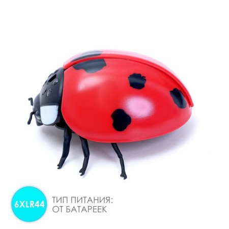 Animal radio -controlled "ladybug" works on batteries, lighting effects-3