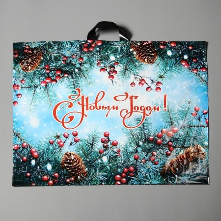Blue spruce package, polyethylene with a loop pen, 71 x 55 cm, 90 μm