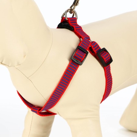 Acunition set is embossed, leash 120 x 1.5 cm, OG 36-49 cm, red-blue-2