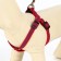 Acunition set is embossed, leash 120 x 1.5 cm, OG 36-49 cm, red-blue