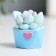 Polystone souvenir "Cactus in a pot" MIX 4x2.5x3 cm