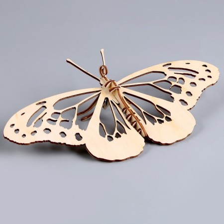 3D puzzle "Young genius": collect a butterfly-2