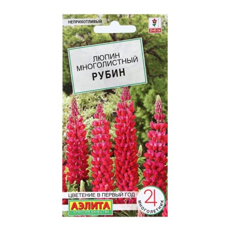 Flowers of Lupine "Rubin", 7 pcs