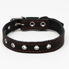 Collar leather single-layer, dimensionless, 56 x 2.5 cm, Osh 17-44 cm, black