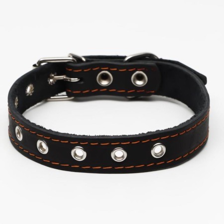 Collar leather single-layer, dimensionless, 56 x 2.5 cm, Osh 17-44 cm, black
