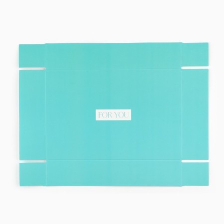 Confectionery packaging, Makarun with PVC lid, Best Wishes, 17 x 12 x 3 cm-5