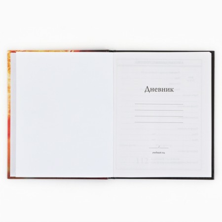 School Diary 1-4 class, in a solid cover, 48 liters "September 1: football"-2