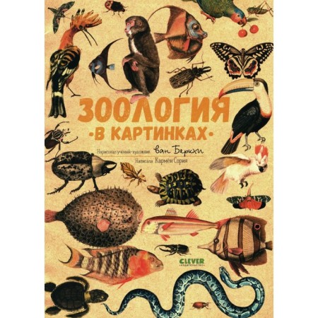 Zoology in pictures. Soria K.