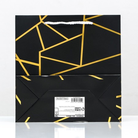 Package Gift craft "Golden Lines", foil, 22.5 x 23 x 10 cm, set 12 pcs.-1