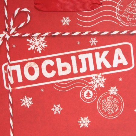 Laminated horizontal “Parcel for you”, MS 18 x 23 x 10 cm, New Year-3