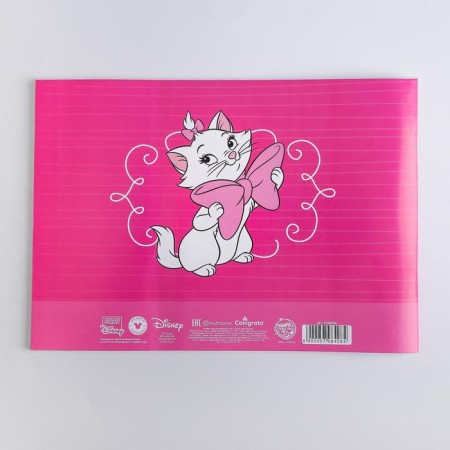 Album for drawing A4, 40 sheets 100 g/m², on paper, cats aristocrats-2