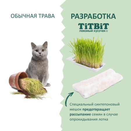 Titbit grass for cats, barley, 50 g-3