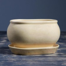 Flower pound tango No. 3 1.1l 15*10*10cm beige