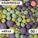 Sprinking confectionery in color glaze: yellow, emerald, lilac, 50 g