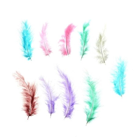 A set of feathers for decor, set of 10 pcs., Size 1 pc: 10 × 2 cm, color powder mix