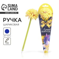 Gift pen Proval 