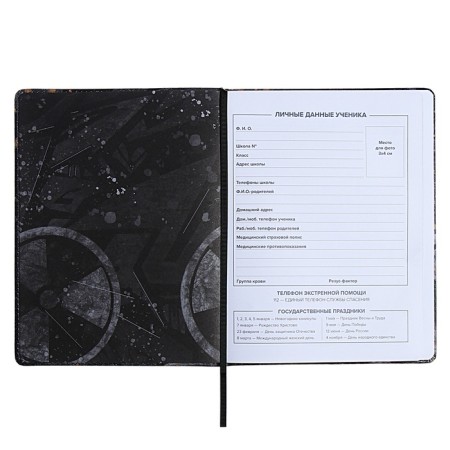 Universal Diary Grade 1-11, 48 sheets "Break the Rules", a solid cover of artificial leather, lies, an offset unit-5