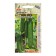 Seeds of cucumber "Dionysis" F1 5pcs* selection agros
