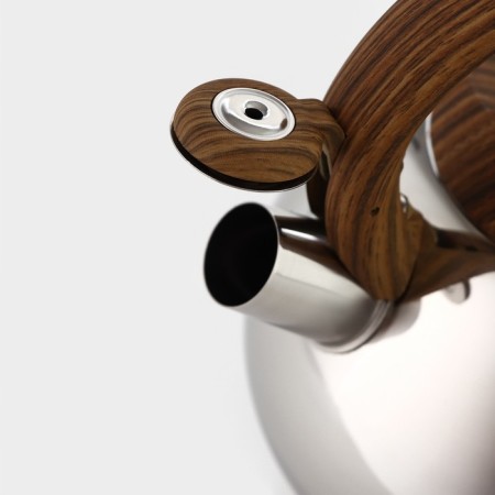 A kettle of stainless steel kettle of a “quantum”, 2.8 l, fixed Soft-Touch pen, chrome color-2