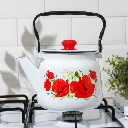 Maki kettle, 2.3 l, enameled cover, induction, white color-4