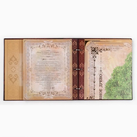 The genealogy book with a frame under the photo "Pedigree Book", under a tree, 50 sheets, 21.5 x 23.7 cm-12