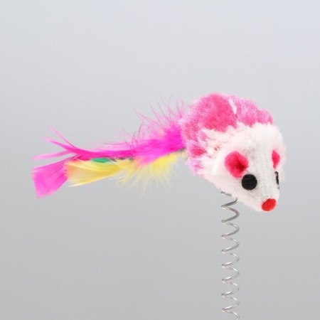 Teaser on the basis of "Koshkin Joy", 15 cm, mix of flowers-1