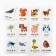 Training cards "Starting speech. Migrationals: animals ", 20 A6 cards