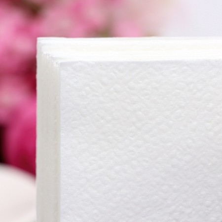 Paper napkins, 24x24 cm, 100 pcs, white-3