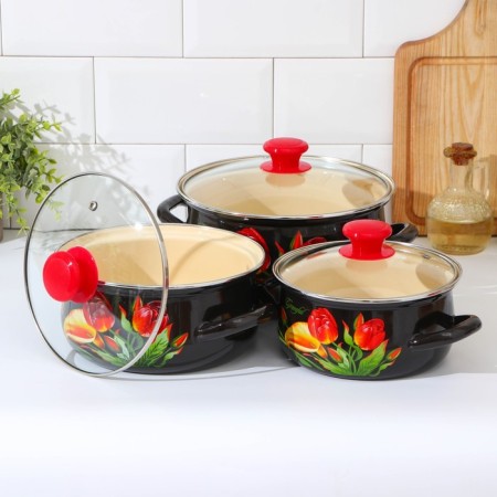 Set of pan "graceful", 3 subjects: 1.5 l, 2 l, 3 l, covers, induction-1