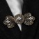 Cardigan clamp "Lesser", white color in black gold