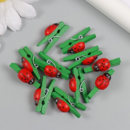 Decor for creativity wood "clothespin with God's cow" Green set 12 pcs 0.9x2.5 cm-2