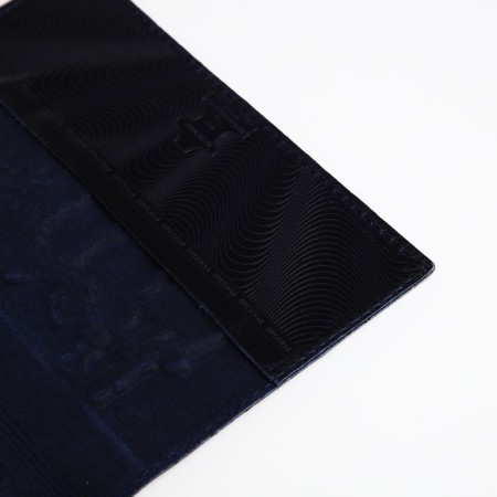 Cover for passport, blue color-5
