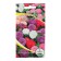 Astra flower seeds, mixture, stunted, 0.2-0.25 g