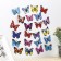 Magnet "Butterfly Obel Overflow" 5 × 7 cm, mix