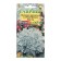 Seeds of Cineraria Primorskaya "Silver Dust", 0.05 g.
