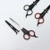 Filive scissors with emphasis, blade - 6.5 cm, color mix