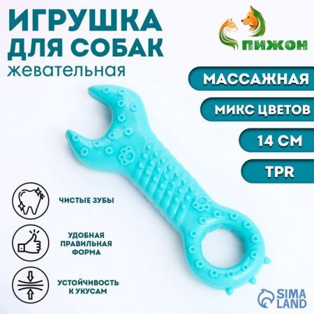 Massage toy for dogs "Key" 14 cm, TPR, mix of flowers